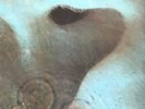 PINK FLOYD   Meddle   1978 UK Harvest second issue of the 1971 6-track vinyl LP