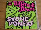 STONE PONEYS EP 