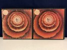 Stevie Wonder Songs In The Key Of Life Reel To Reel 3.75ips RARE