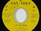 Al & the Vibrators 