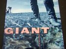 Giant 