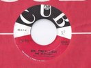 THE JAYTONES My Only Love 45 RECORD RARE ORIGINAL CUB RECORDS R&B DOO WOP