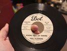WHERE DID I GO WRONG  .  PHIL FLOWERS  .  DOT DEMO  .  EX