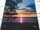 The SOMETHING NEW are you looking LP xian PSYCH rural Christian 1970 rare KEEPER