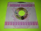 STEVE MARTIN TWO BY TWO / LOVE SONGS IN THE NIGHT 7