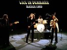 LED ZEPPELIN Live In Denmark March 1969 great sound quality gatefold UK VINYL