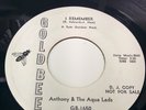 Northern Soul 45 WLB Anthony & the Aqua Lads 