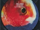 STAPLES, Vince - Big Fish Theory - Vinyl (limited picture disc 2xLP)