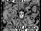 SLAPSHOT - MAKE AMERICA HATE AGAIN (LIMITED  COLOURED VINYL)   VINYL LP NEW+