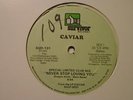 CAVIAR Never Stop Loving You SURVIVOR Miami Boogie Modern Soul 12