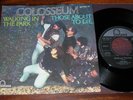 COLOSSEUM 7