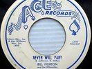 BILL HORTON & Silhouettes doowop VG++ ACE 45 NEVER WILL PART b/w EVELYN ws1250