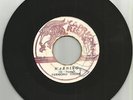 DESMOND YOUNG / WARNING / VERSION / 7''/ VG / VG-