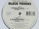 Black Thornz 