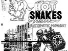 Hot Snakes - Automatic Midnight