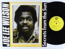 JOE LEE WILSON Secrets From The Sun LP on Sun NM france