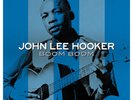 John Lee Hooker BOOM BOOM Best Of 42 Essential Songs NEW GREY COLORED VINYL 3 LP