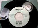 Tornado 45 rpm Eddie Simon PRETTY LASS & BEACH BOY   Paul Simon's Brother   Surf