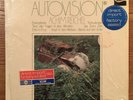 ACHIM REICHEL rare Autovision kraut psych Zebra German orig NM LP