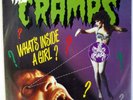 CRAMPS 45 What's Inside a Girl?/Give Me a Woman BIG BEAT rock VG++ ak214
