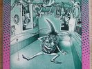 PSYCOTIC PINEAPPLE Where`s The Party (Punk/Garage Lp)13th Floor Elevators