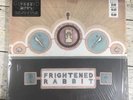 FRIGHTENED RABBIT The Winter of Mixed Drinks LP gatefold NM 2010 Vinyl OOP