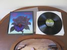 Thin Lizzy - Black Rose LP - Ex+ FIRST UK Pressing Vinyl - Worldwide Shipping