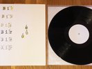 Big Business - Here Come The Waterworks LP Vinyl Tour Pressing Melvins Rare
