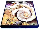 RARE NM THE MOODY BLUES A QUESTION OF BALANCE REEL TO REEL TAPE 7 1/2 IPS