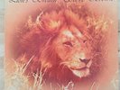 Private Xian Folk Rock SSW LP STEVE BROWN Lion's Breath ARCHIVIST HEAR Rare