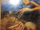 Dixie Dregs- Dregs Of The Earth —Super Disk