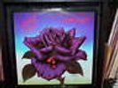 THIN LIZZIE BLACK ROSE - AUSTRALIAN LP RECORD VINYL 12