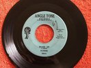 FI-TONES: You'll Be The Last / Wake Up 45 Angle Tone Records Record