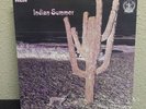 Prog Psych lp Indian Summer Neon UK Original Press NE3