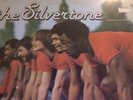 the Silvertone LP, A Brand New Start rare disco funk boogie ORIGINAL  steel band