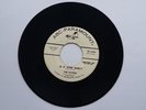  The Kittens - Is It Over Baby / Undecided You ABC PARAMOUNT PROMO VG++