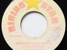 DOGWOOD Them Can’t Blow Breath RISING STAR RAREST DIGI KILLER DANCEHALL 45 Hear