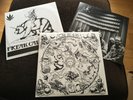 Chris Robinson Brotherhood The Magic Door 2LP Vinyl Black Crowes CRB
