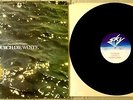 HANS-JOACHIM ROEDELIUS Durch Die Wüste 1978 SKY GERMANY LP ELECTRONIC MOEBIUS