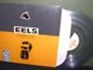 Eels 