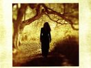 Loreena Mckennitt - Lost Souls Vinyl LP Quinlan Road NEU