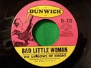 SHADOWS OF KNIGHT - Bad Little Woman/Gospel Zone 45, Pic Sleeve '66 garage EX