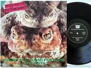 Peter And The Test Tube Babies - The Mating Sounds Of South American Frogs LP