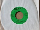 GEORGE PORTER'S JOYRIDE *Cissy Strut* SNEAKY FREAKY N.O. Funk 45 on DEESU 601