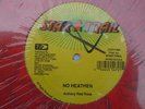 ANTHONY RED ROSE Heathen STAR TRAIL Digi Roots Reggae 12