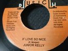 Junior Kelly - If Love So Nice (Vinyl)