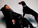 ALMOND, MARC - SOFT CELL - 1996 - Konzertplakat - Fantastic - Poster - Bielefeld