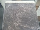 The moon and the melodies harold budd Elizabeth Fraser Lp vinyl album