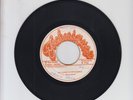 TECHNIQUES/ NOTHING IS IMPOSSIBLE -  THE INTERNS (75 REGGAE ROOTS 7