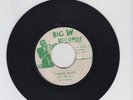 BIG W/ CORNER MACKA - SIR HARRY (77 REGGAE ROOTS 7